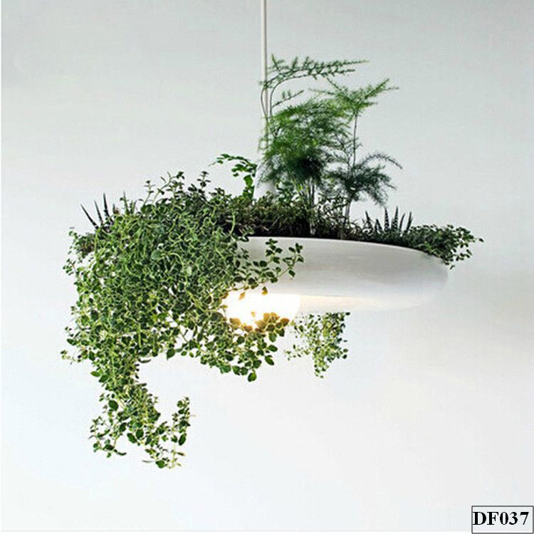 den-tha-chau-cay-trezla-df037