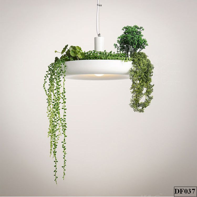 den-tha-chau-cay-trezla-df037-8