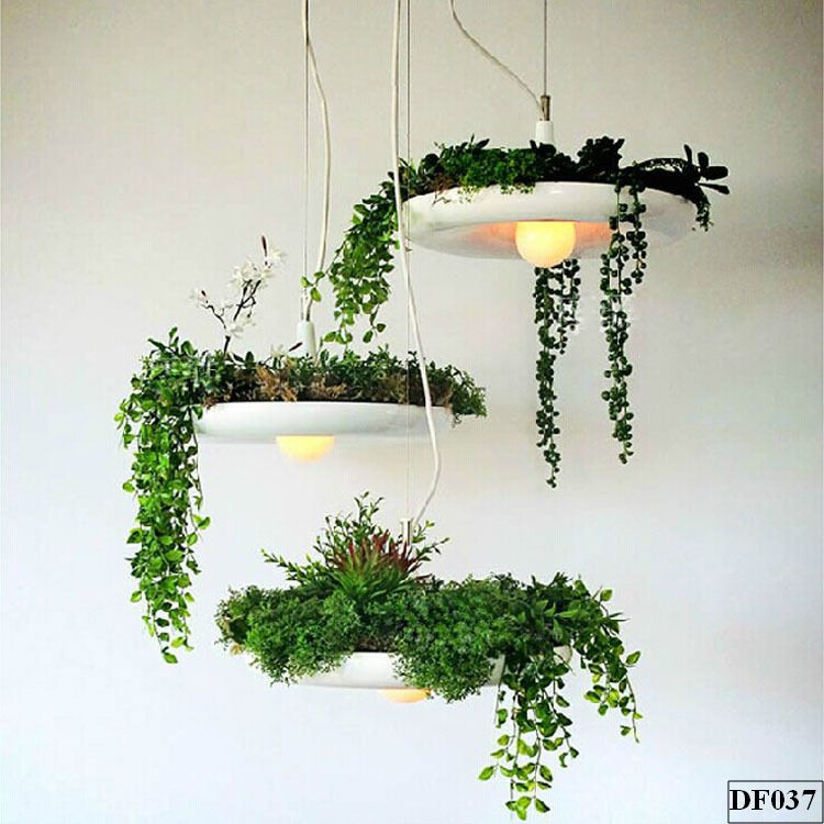 den-tha-chau-cay-trezla-df037-9