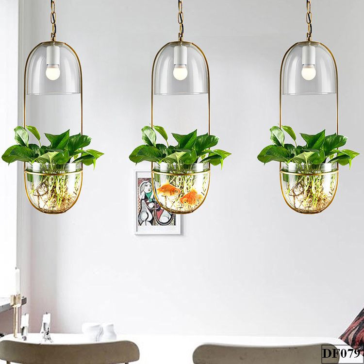 den-tha-trong-cay-thuy-tinh-pebble-df079-1