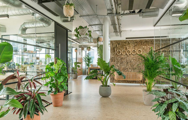 cach-chon-cay-xanh-cho-van-phong